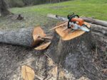 STIHL Farm Boss Gas-Powered Chainsaw, 20in. Bar, 50.2cc, 0.325in. Chain Pitch - Image 6